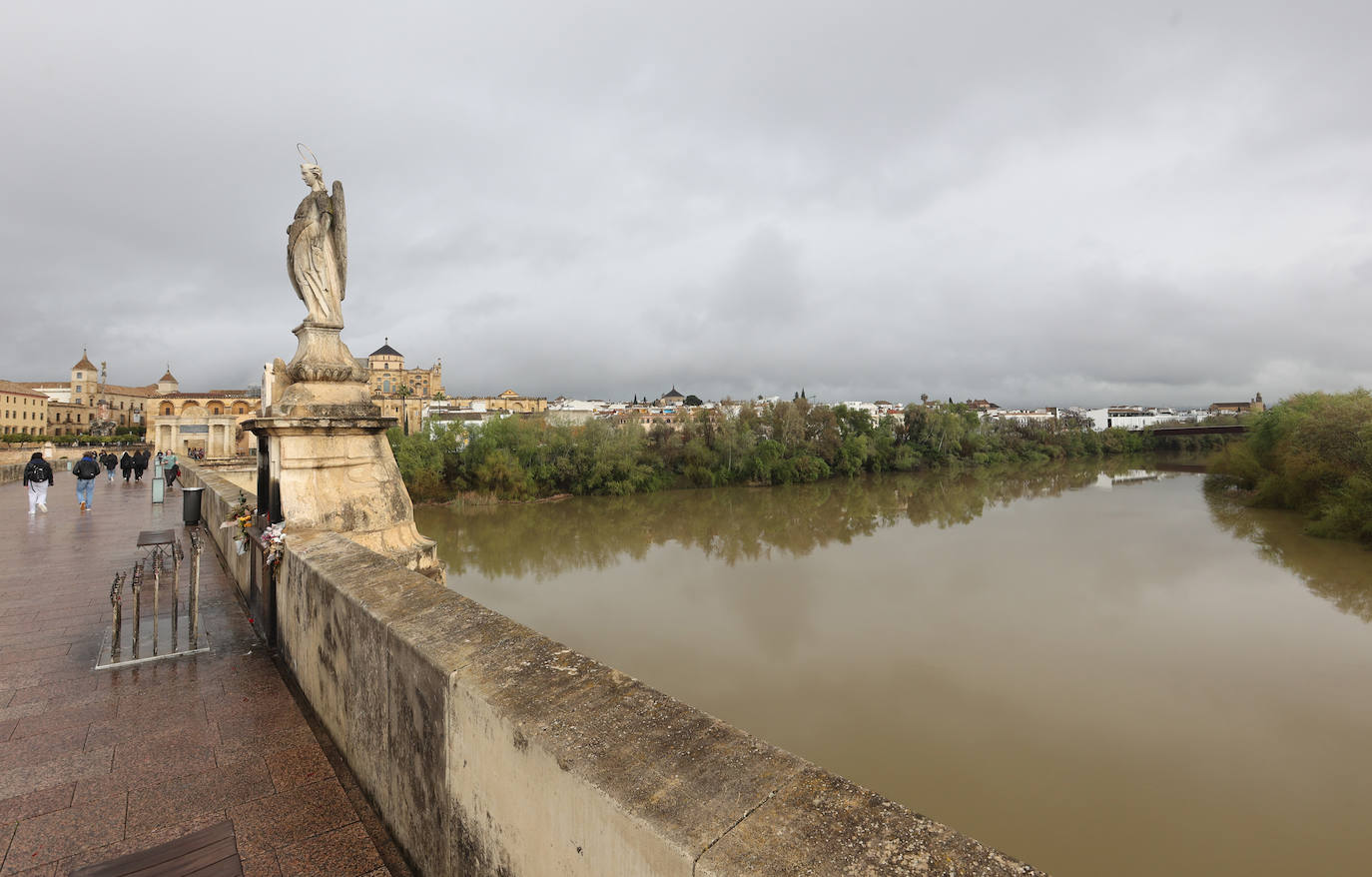 La notable crecida del río Guadalquivir, en imágenes