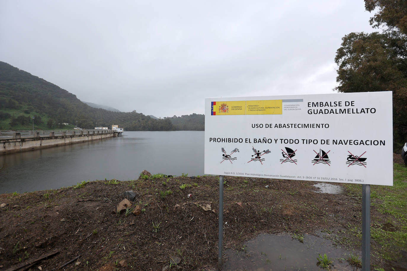 La notable crecida del río Guadalquivir, en imágenes