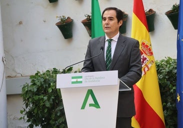 Los juzgados de Andalucía extinguirán los expedientes en papel este año