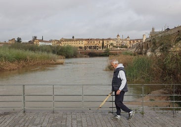 La notable crecida del río Guadalquivir, en imágenes