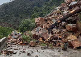 La Junta de Andalucía declara de emergencia la obra de la A-397 que une Ronda y la Costa del Sol