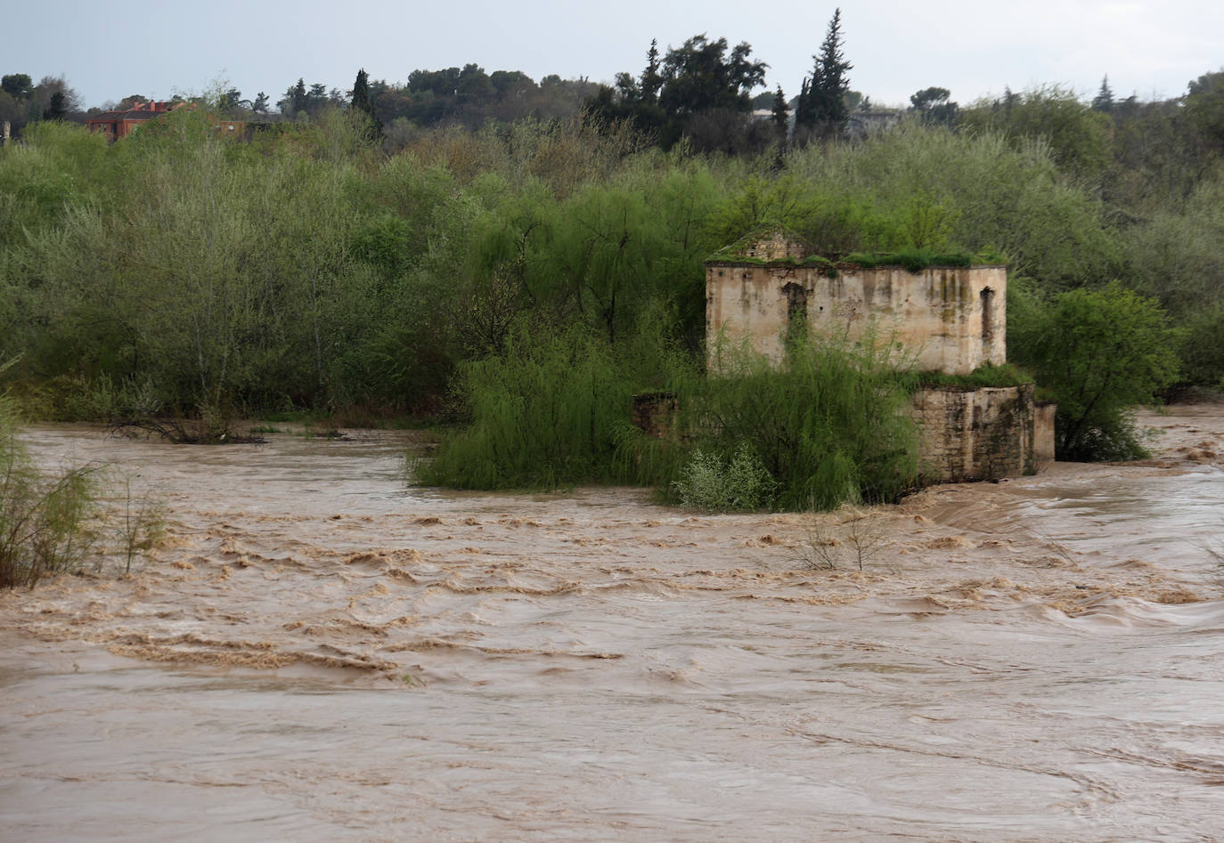 La espectacular subida del nivel del río Guadalquivir, en imágenes