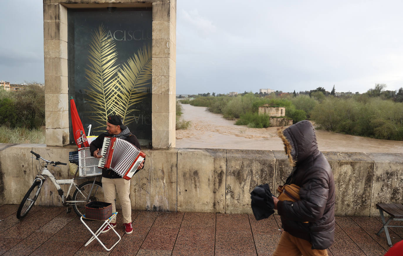 La espectacular subida del nivel del río Guadalquivir, en imágenes