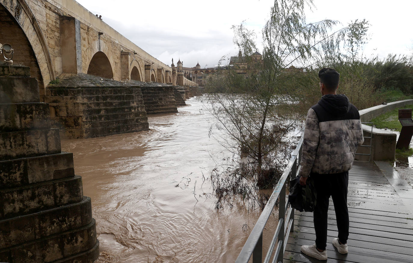 La espectacular subida del nivel del río Guadalquivir, en imágenes
