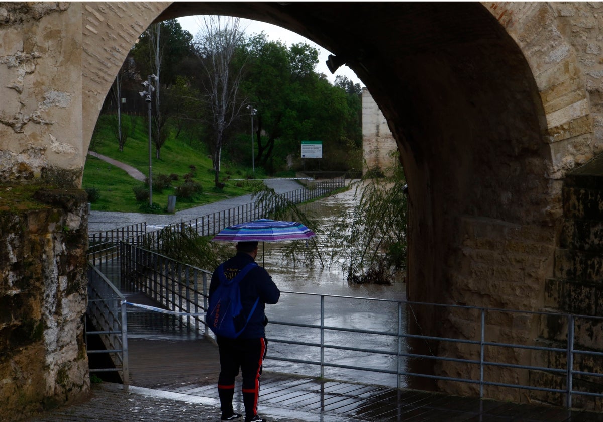 Un hombre contempla la crecida del río Guadalquivir por el Puente Romano de Córdoba bajo el paraguas