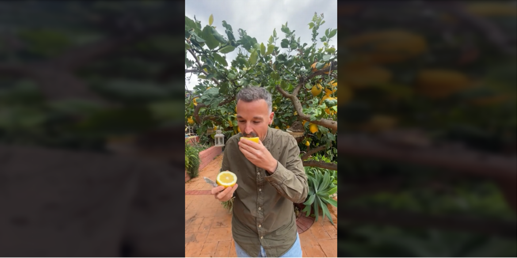 El extraño limón que se come a bocados se planta en esta ciudad de Andalucía: «Si me viera alguien de Murcia, fliparía»