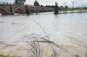 Crecida del río Guadalete a su paso por el puente de la Cartuja, en Jerez de la Frontera