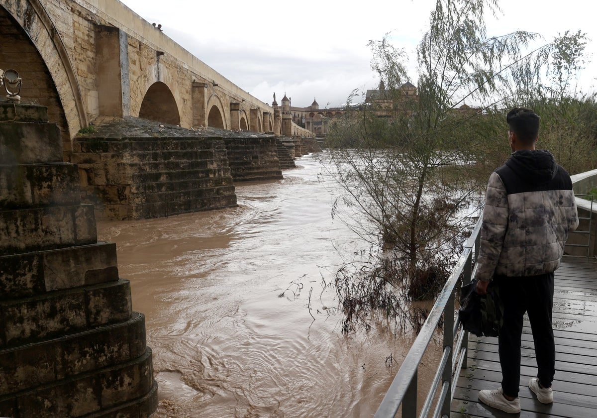 Un joven observa el cauce del río Guadalquivir al pasar por el Puente Romano de Córdoba