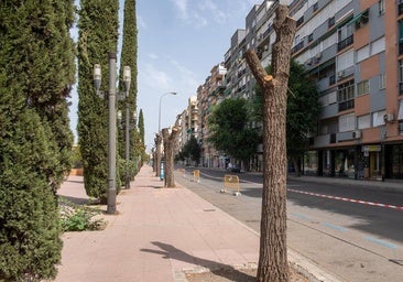 La mujer hallada en un local de trasteros de Granada no tuvo una muerte violenta sino por causas naturales