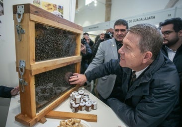 Emiliano García-Page durante el recorrido que ha realizado por la Feria Apícola de Pastrana
