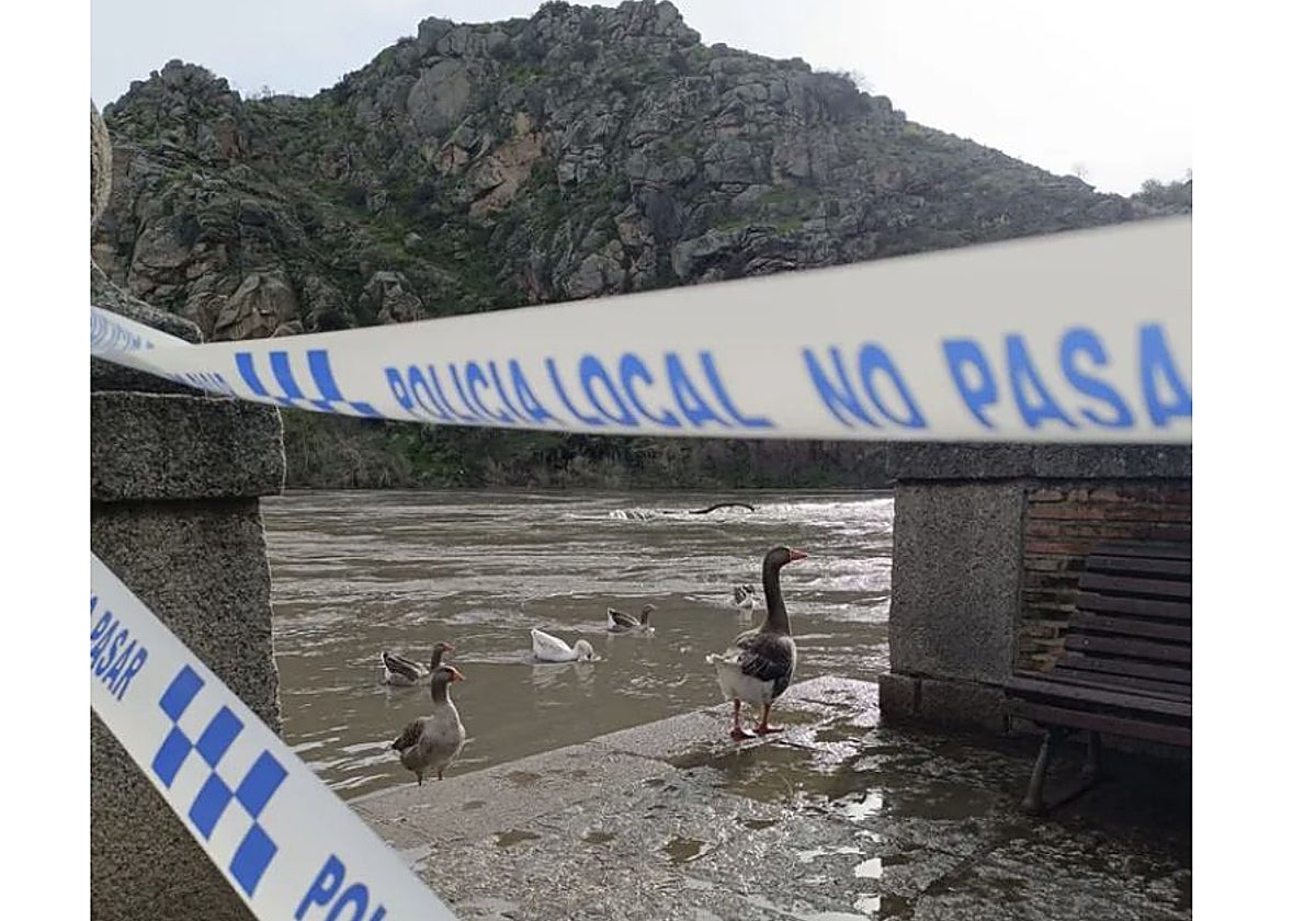 La zona del Barco Pasaje, cortada al paso de peatones