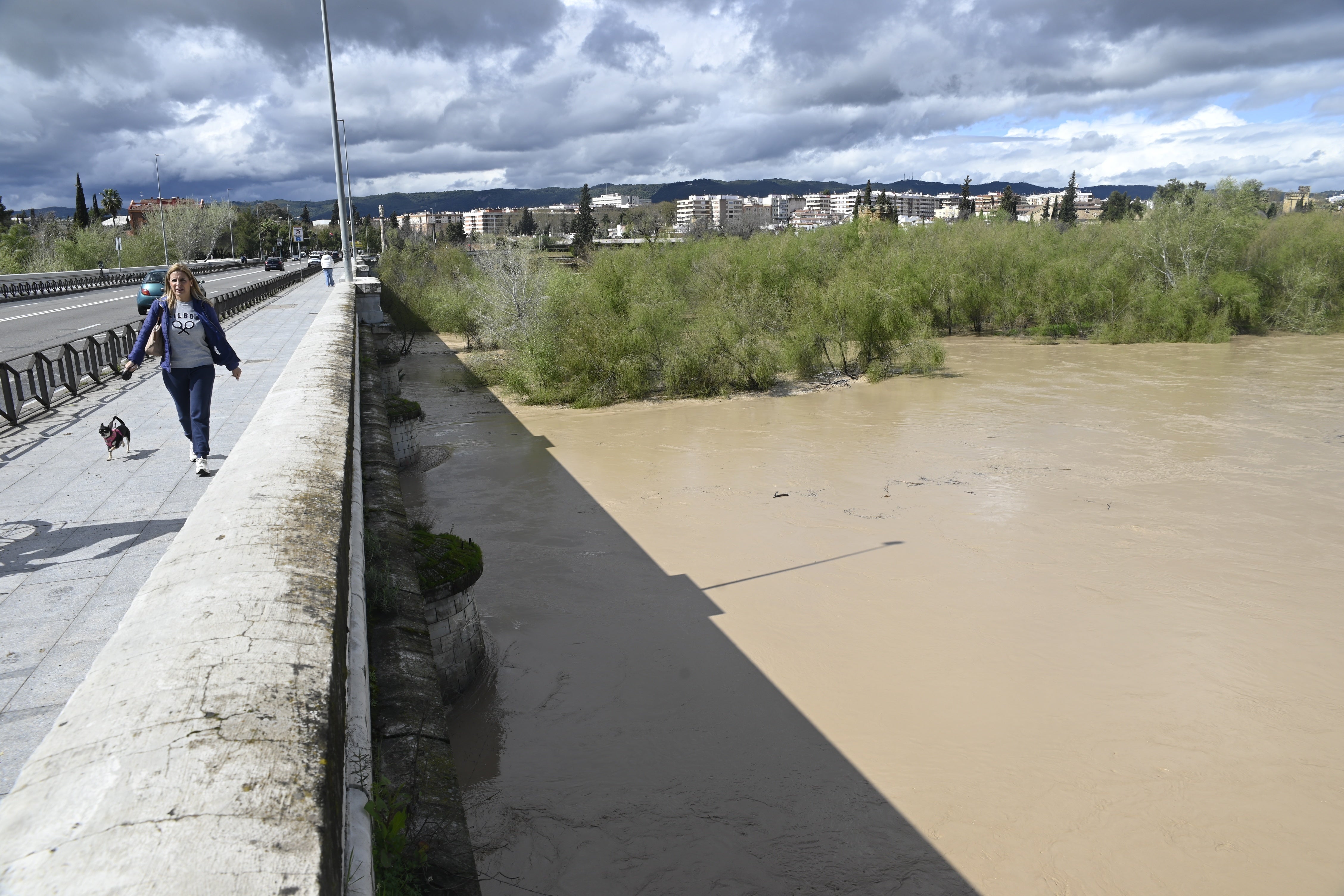 La inquietante crecida del río Guadalquivir a su paso por Córdoba, en imágenes