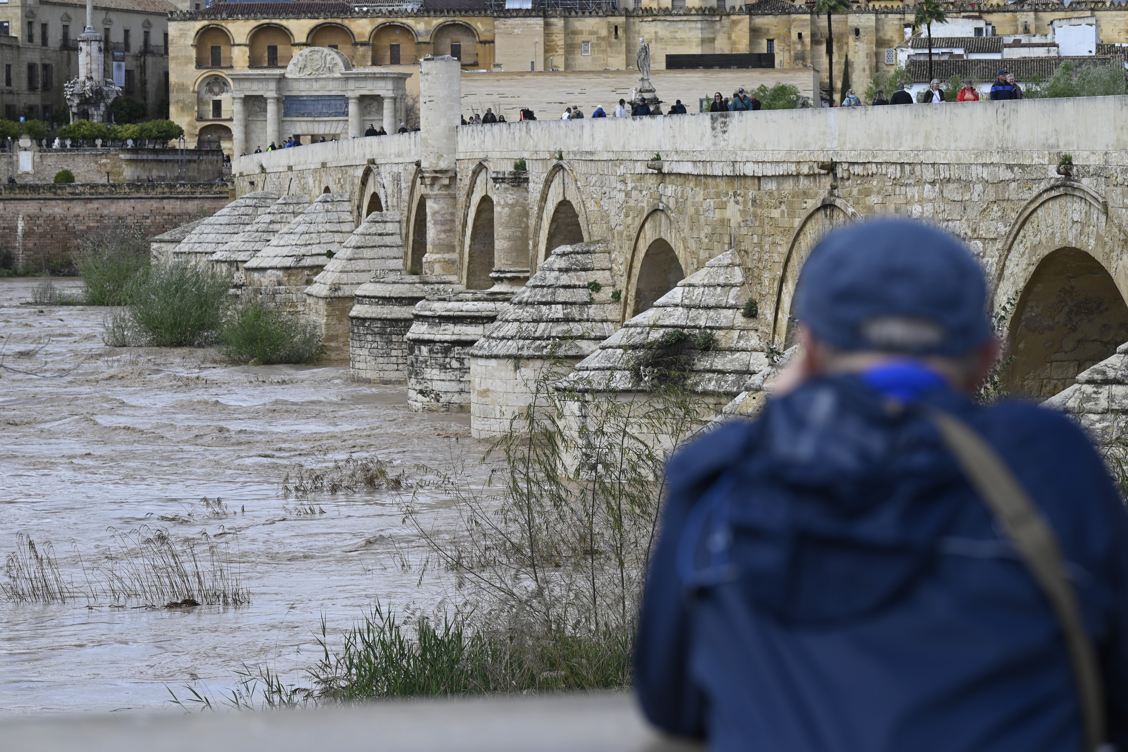 La inquietante crecida del río Guadalquivir a su paso por Córdoba, en imágenes