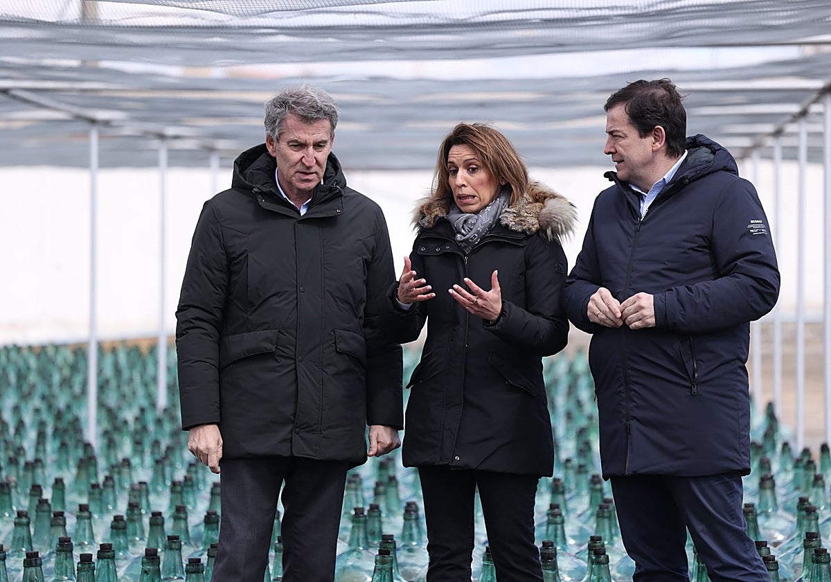 El presidente del Partido Popular, Alberto Núñez Feijóo, y el presidente de la Junta de Castilla y León y del PP regional, Alfonso Fernández Mañueco, visitan las Bodegas Hijos de Alberto Gutiérrez, en Serrada (Valladolid)