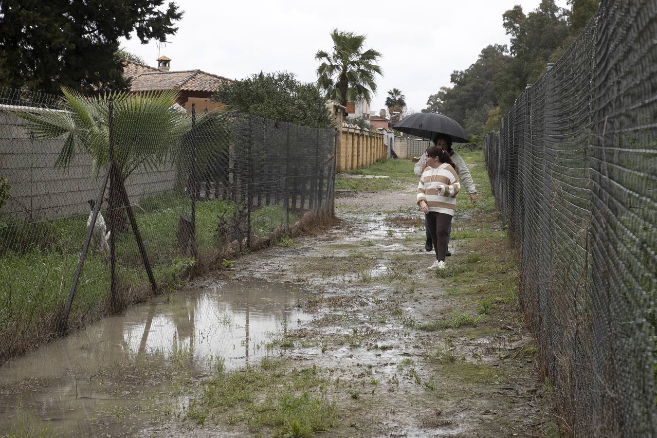 Inquietud y tensión en las parcelas más cercanas al río en Córdoba