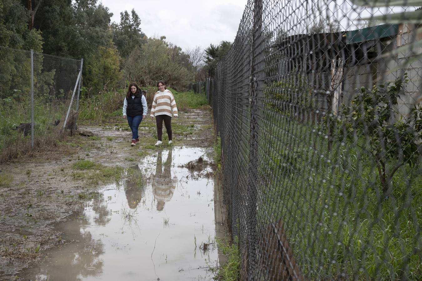 Inquietud y tensión en las parcelas más cercanas al río en Córdoba