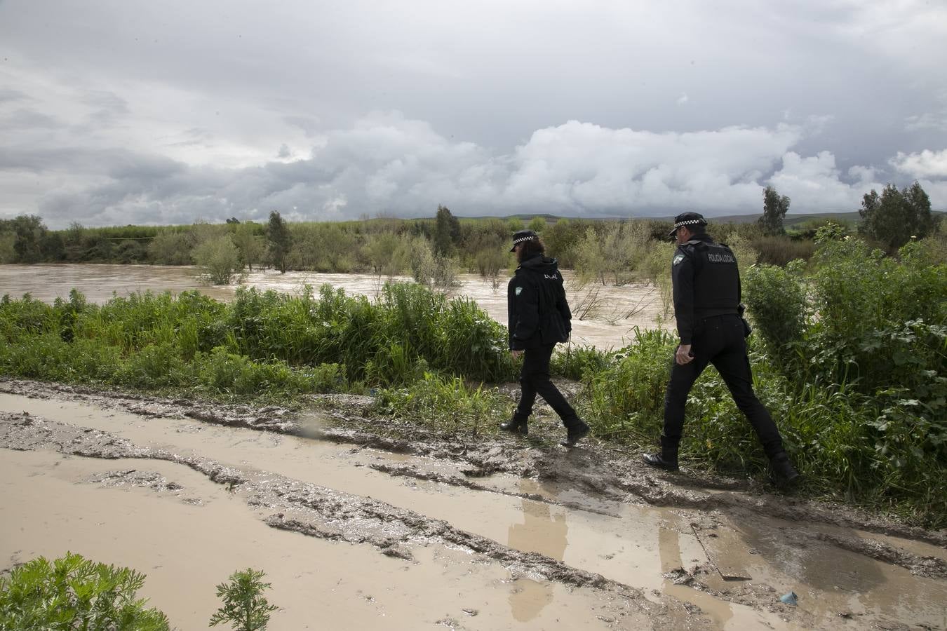 Inquietud y tensión en las parcelas más cercanas al río en Córdoba