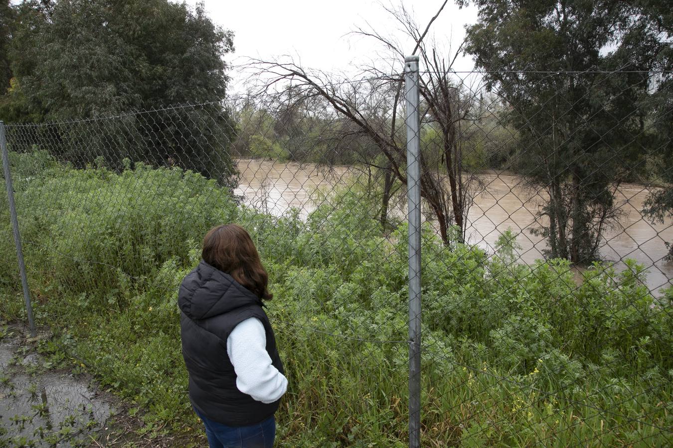 Inquietud y tensión en las parcelas más cercanas al río en Córdoba