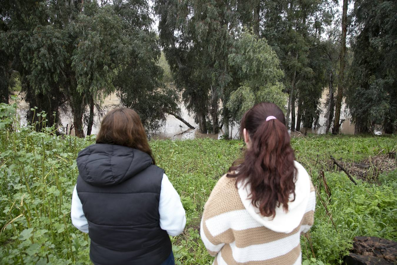 Inquietud y tensión en las parcelas más cercanas al río en Córdoba