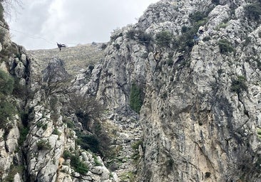 Trece personas denunciadas por colocar una 'cuerda floja' en un barranco del Parque Natural de las Subbéticas