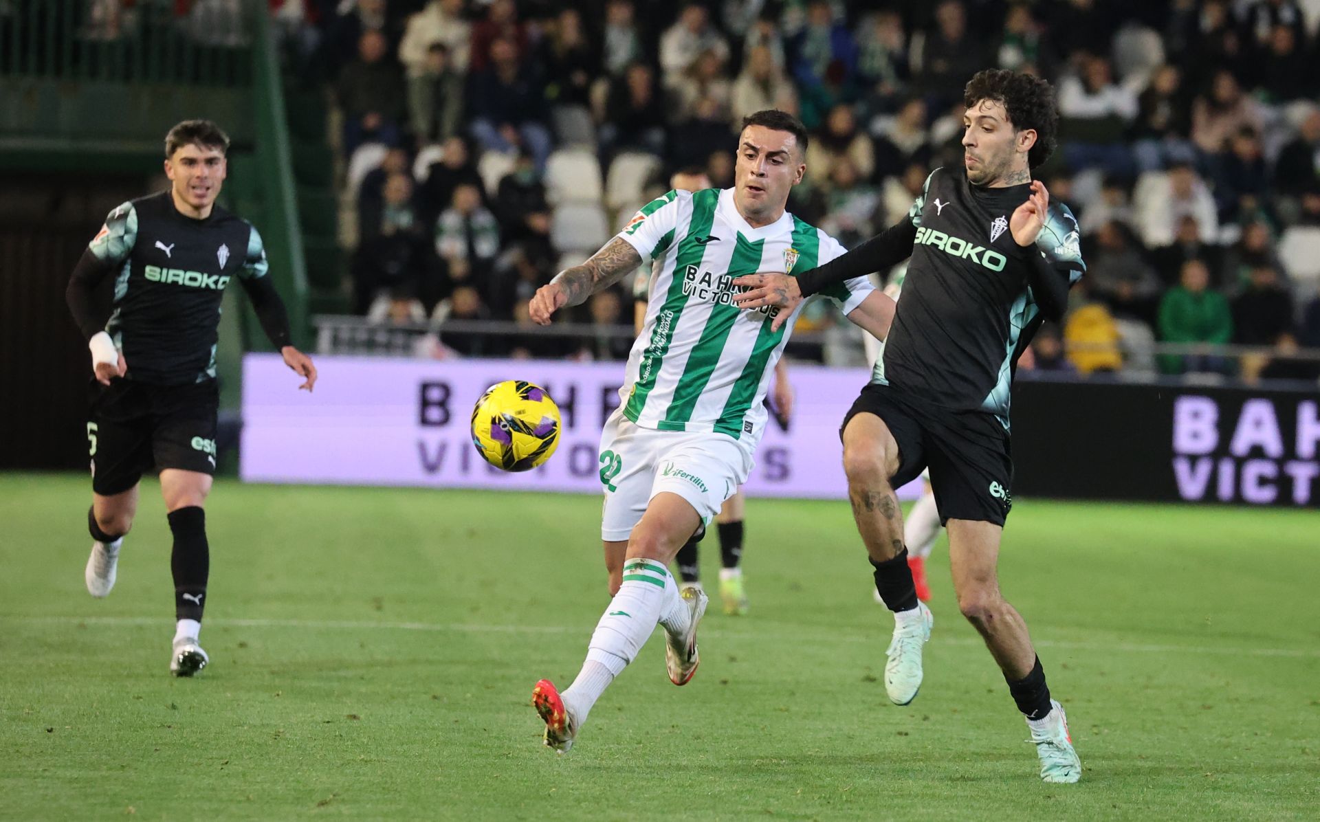 El empate del Córdoba CF ante el Sporting de Gijón, en imágenes