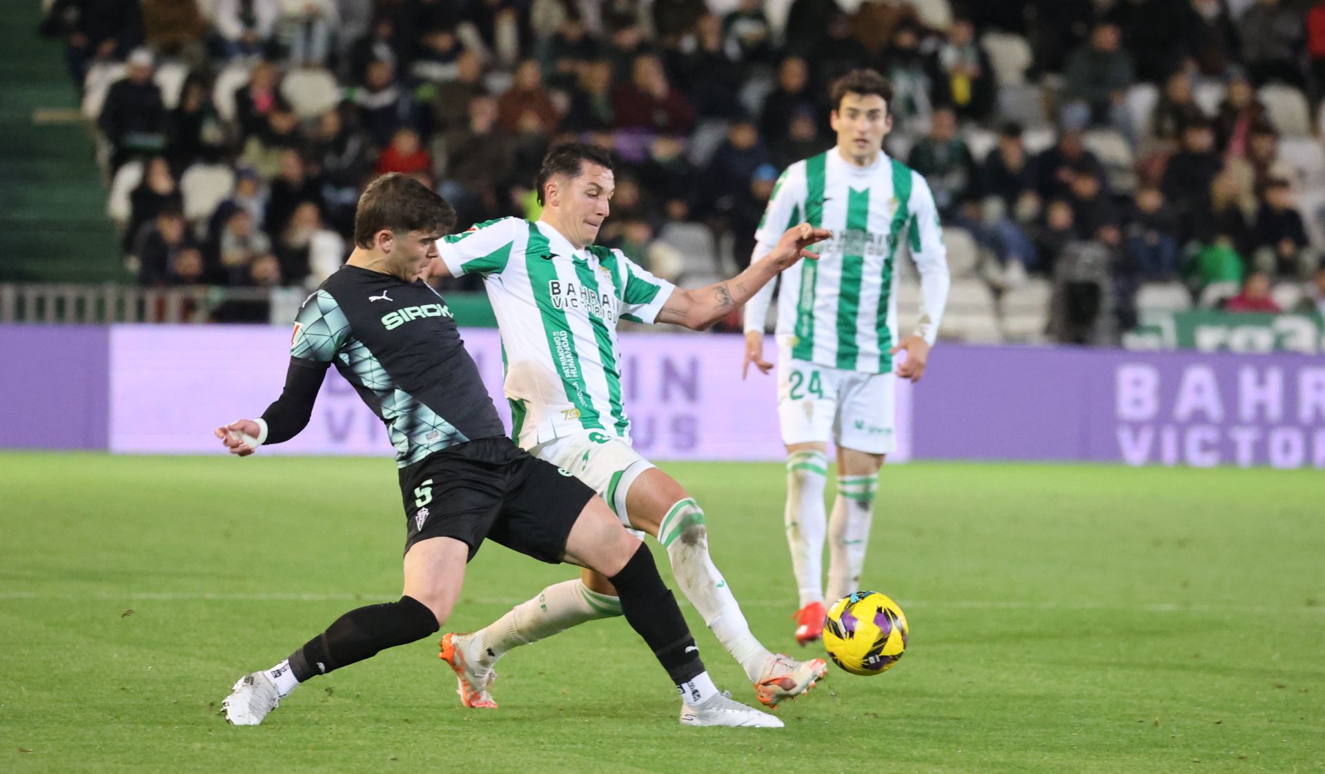 El empate del Córdoba CF ante el Sporting de Gijón, en imágenes