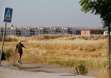 Un hombre camina por terrenos de la Huerta de Santa Isabel