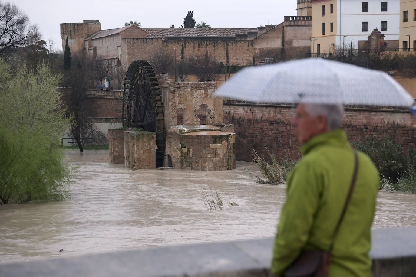 El impetuoso cauce del río Guadalquivir a su paso por Córdoba, en imágenes