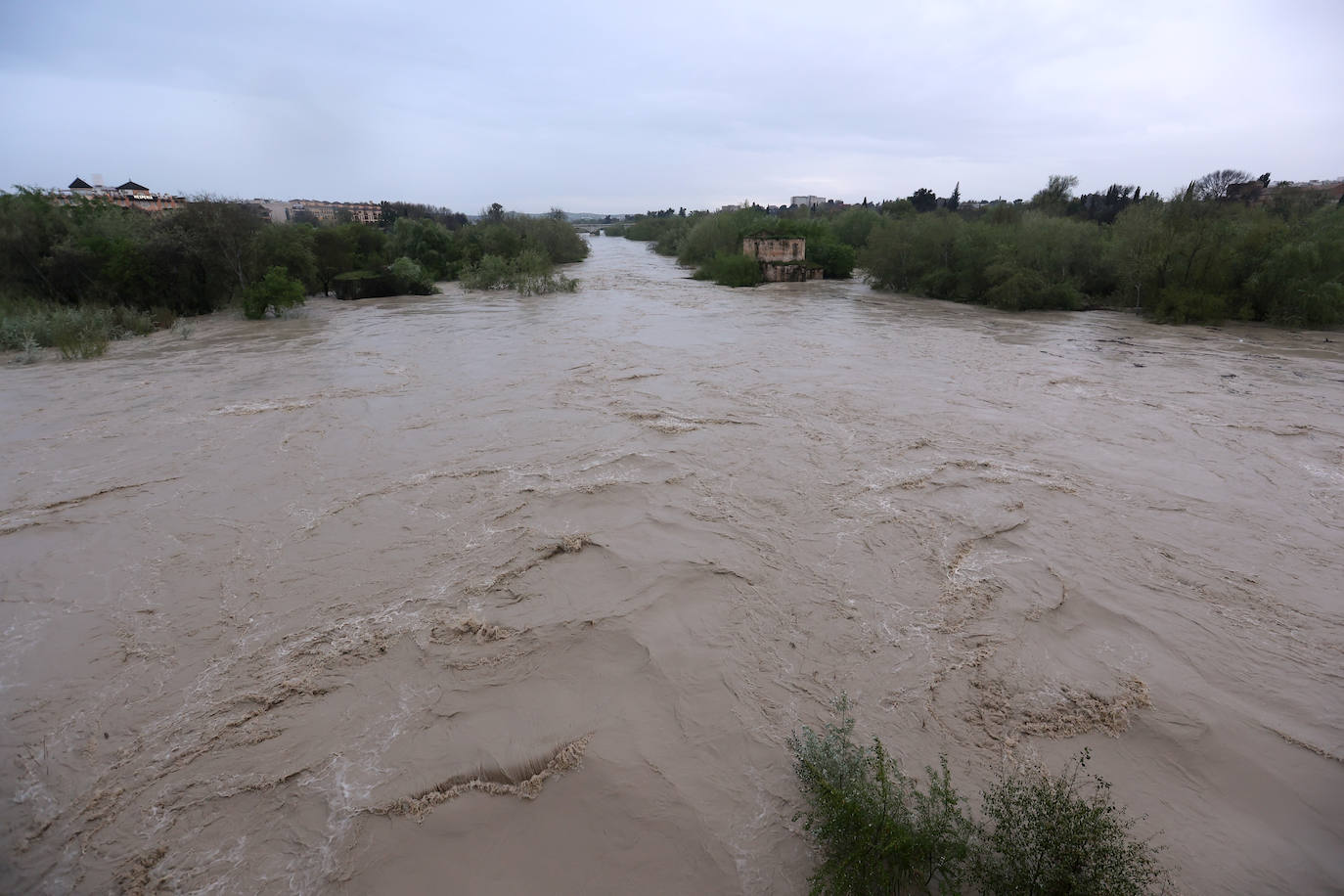 El impetuoso cauce del río Guadalquivir a su paso por Córdoba, en imágenes