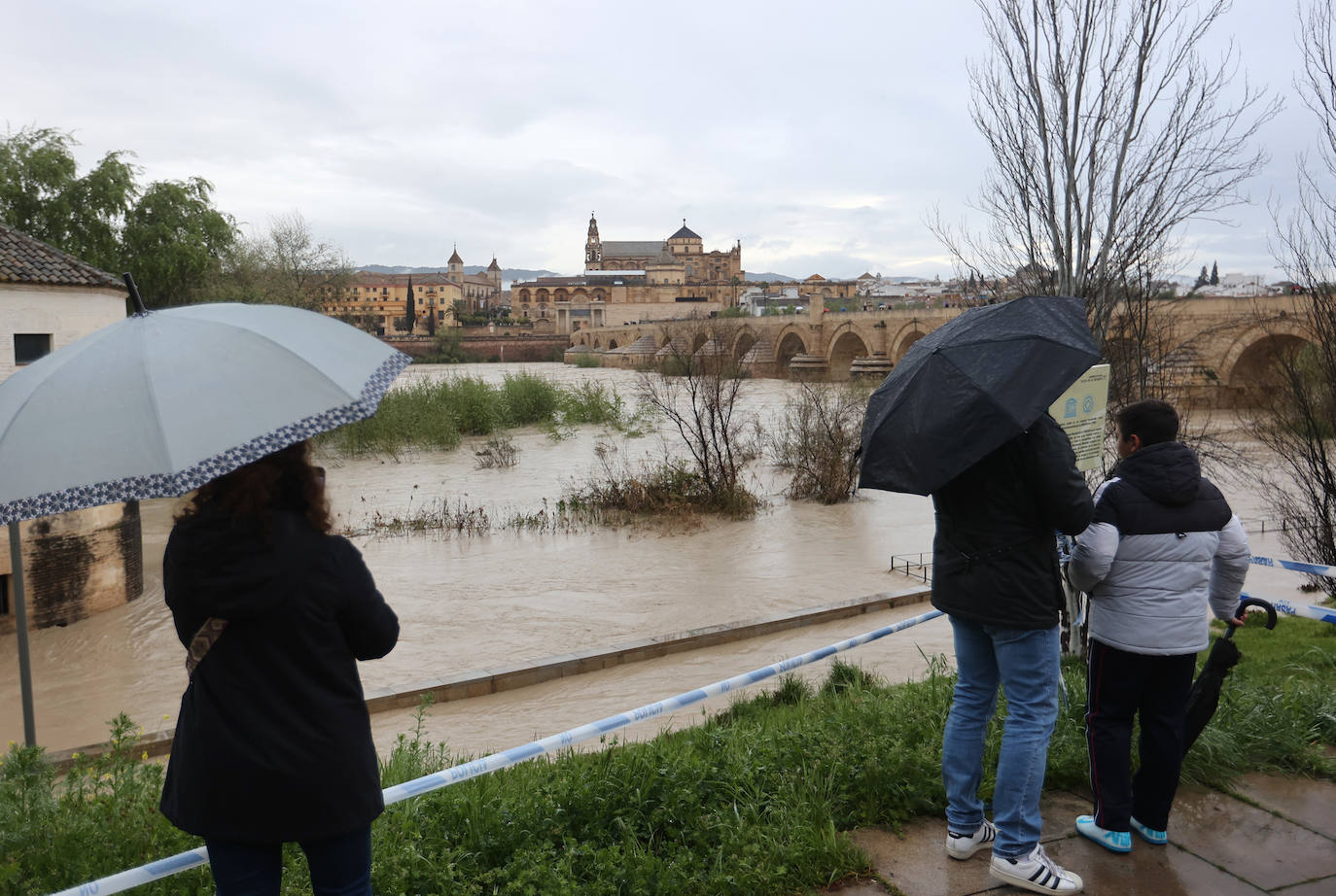 El impetuoso cauce del río Guadalquivir a su paso por Córdoba, en imágenes