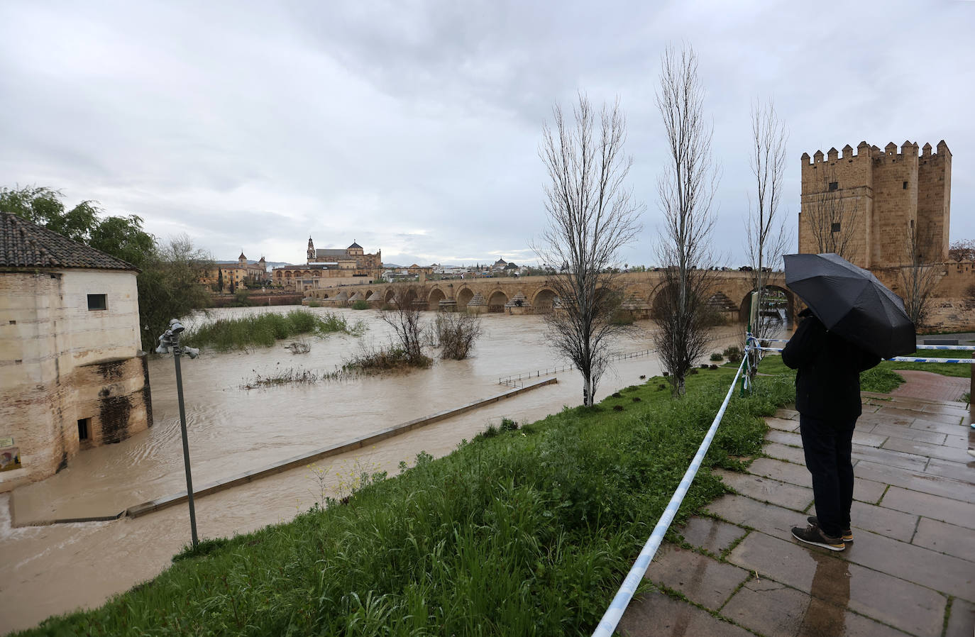 El impetuoso cauce del río Guadalquivir a su paso por Córdoba, en imágenes