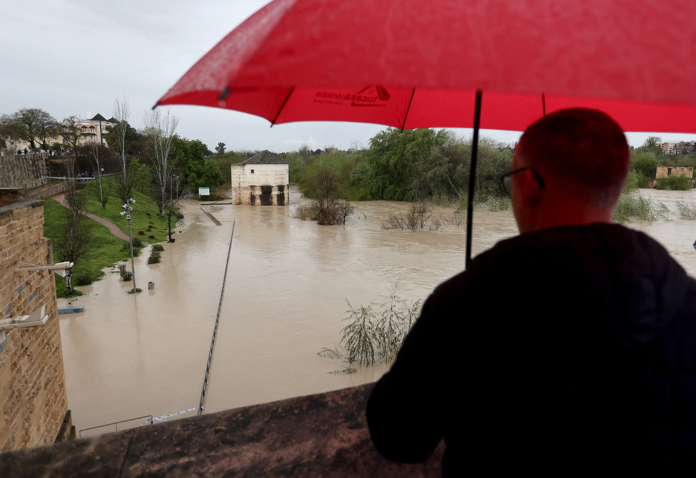 El impetuoso cauce del río Guadalquivir a su paso por Córdoba, en imágenes