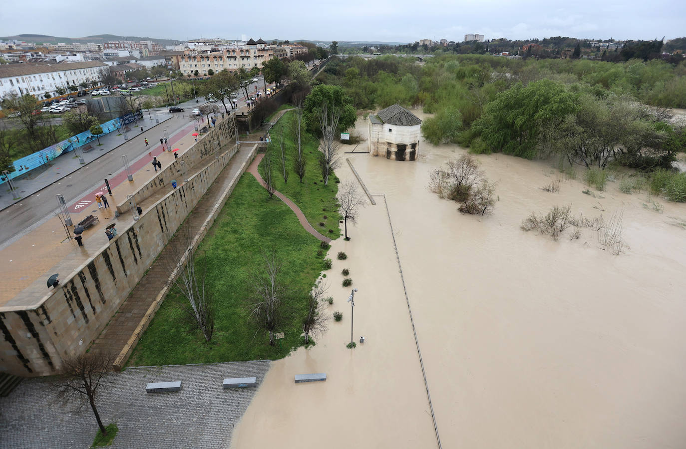El impetuoso cauce del río Guadalquivir a su paso por Córdoba, en imágenes