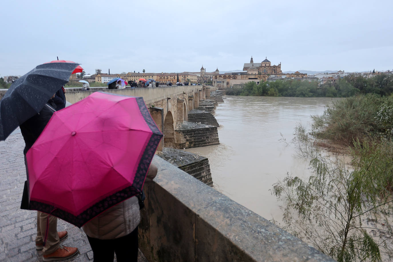 El impetuoso cauce del río Guadalquivir a su paso por Córdoba, en imágenes