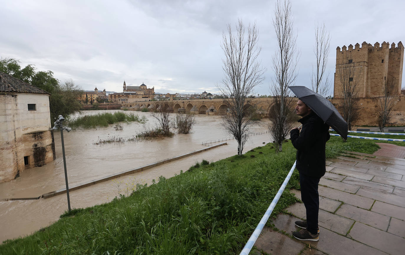 El impetuoso cauce del río Guadalquivir a su paso por Córdoba, en imágenes