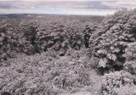 La borrasca Laurence dejará fuertes lluvias y nieve en Castilla-La Mancha