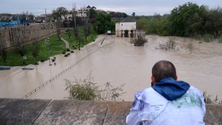 El impetuoso cauce del río Guadalquivir a su paso por Córdoba, en imágenes