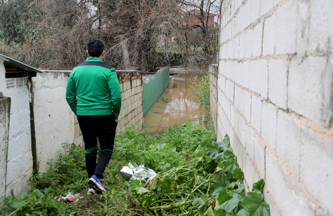 El desolador aspecto de las viviendas anegadas junto al río en Córdoba, en imágenes
