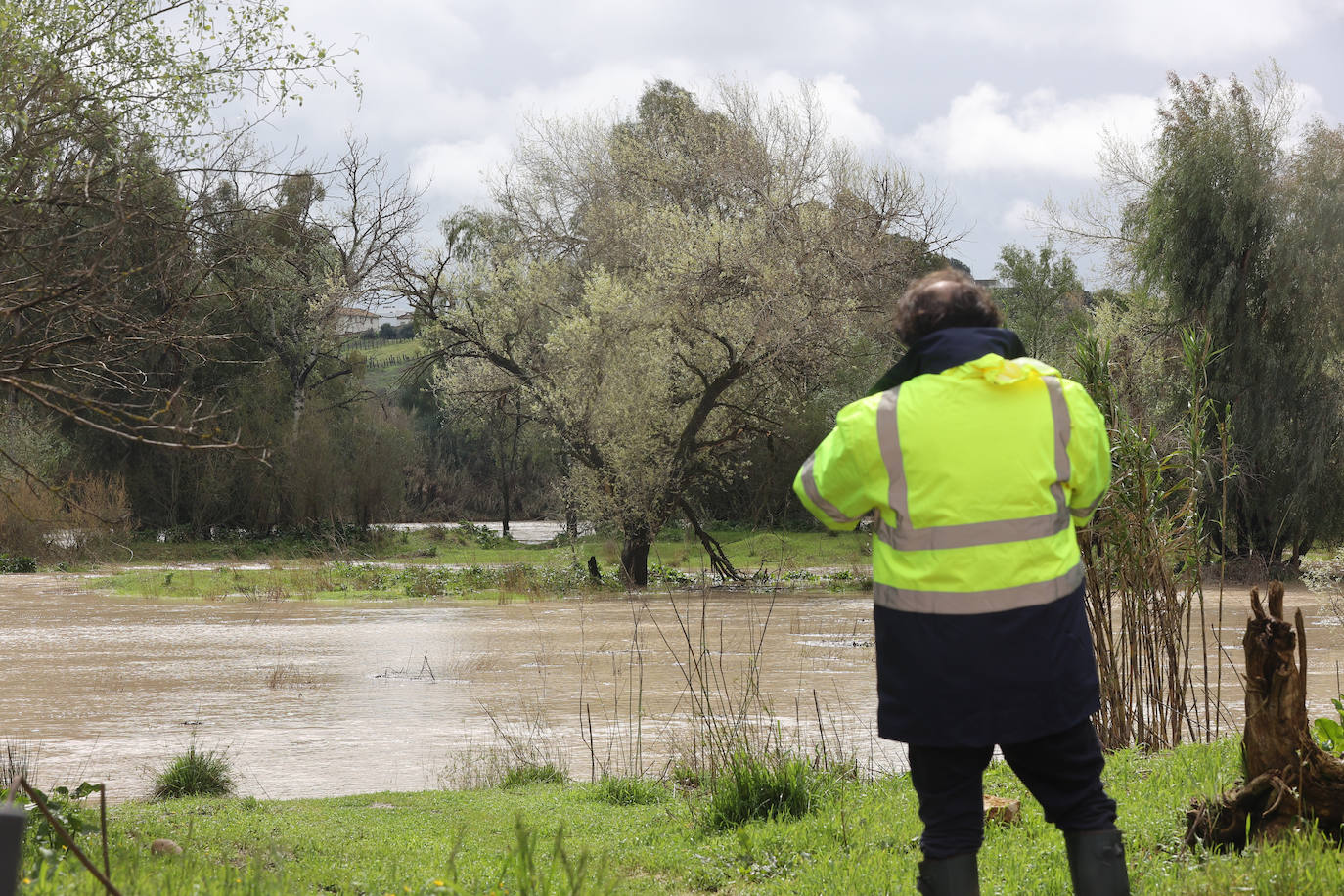 El desolador aspecto de las viviendas anegadas junto al río en Córdoba, en imágenes