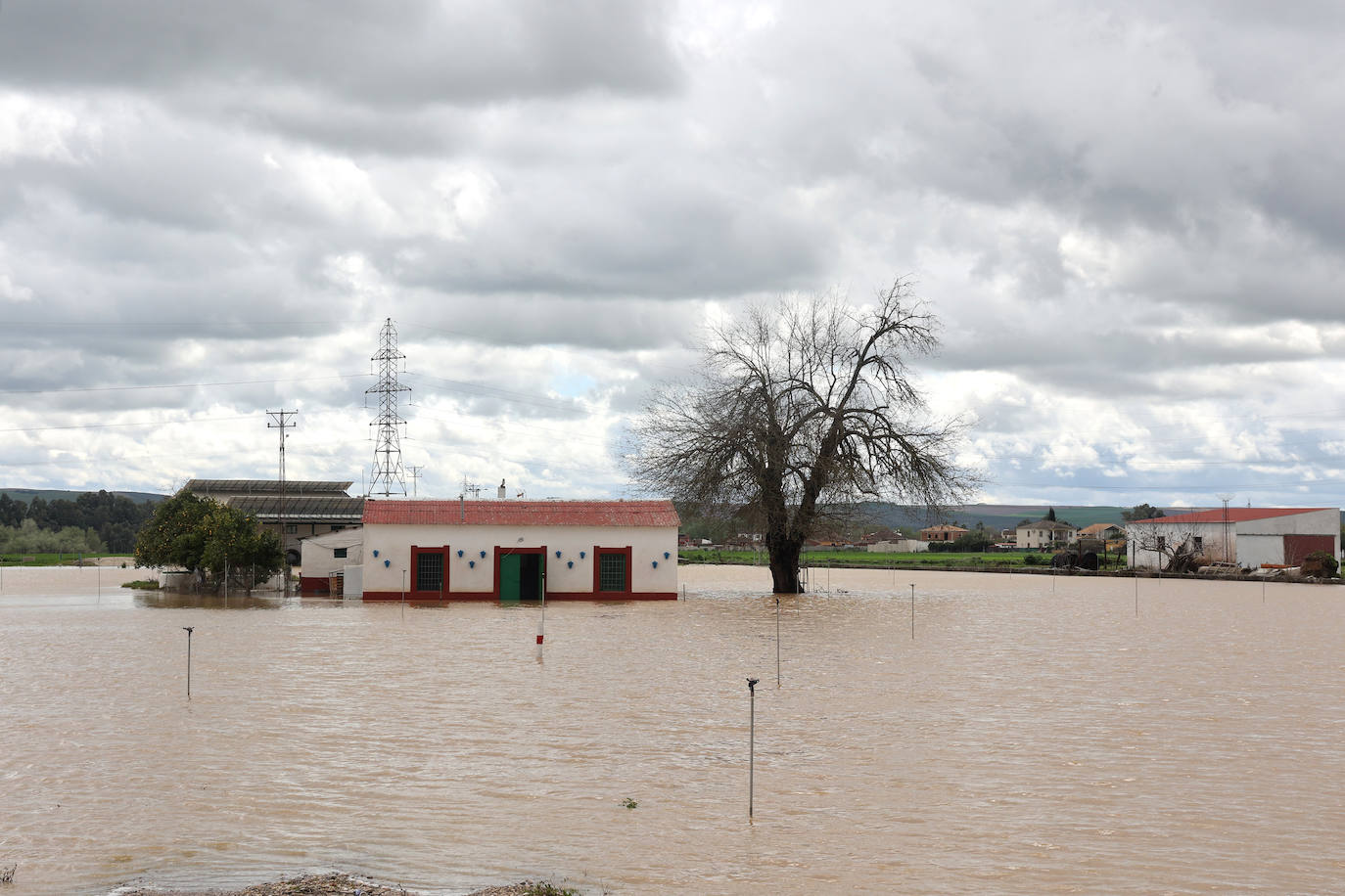 El desolador aspecto de las viviendas anegadas junto al río en Córdoba, en imágenes