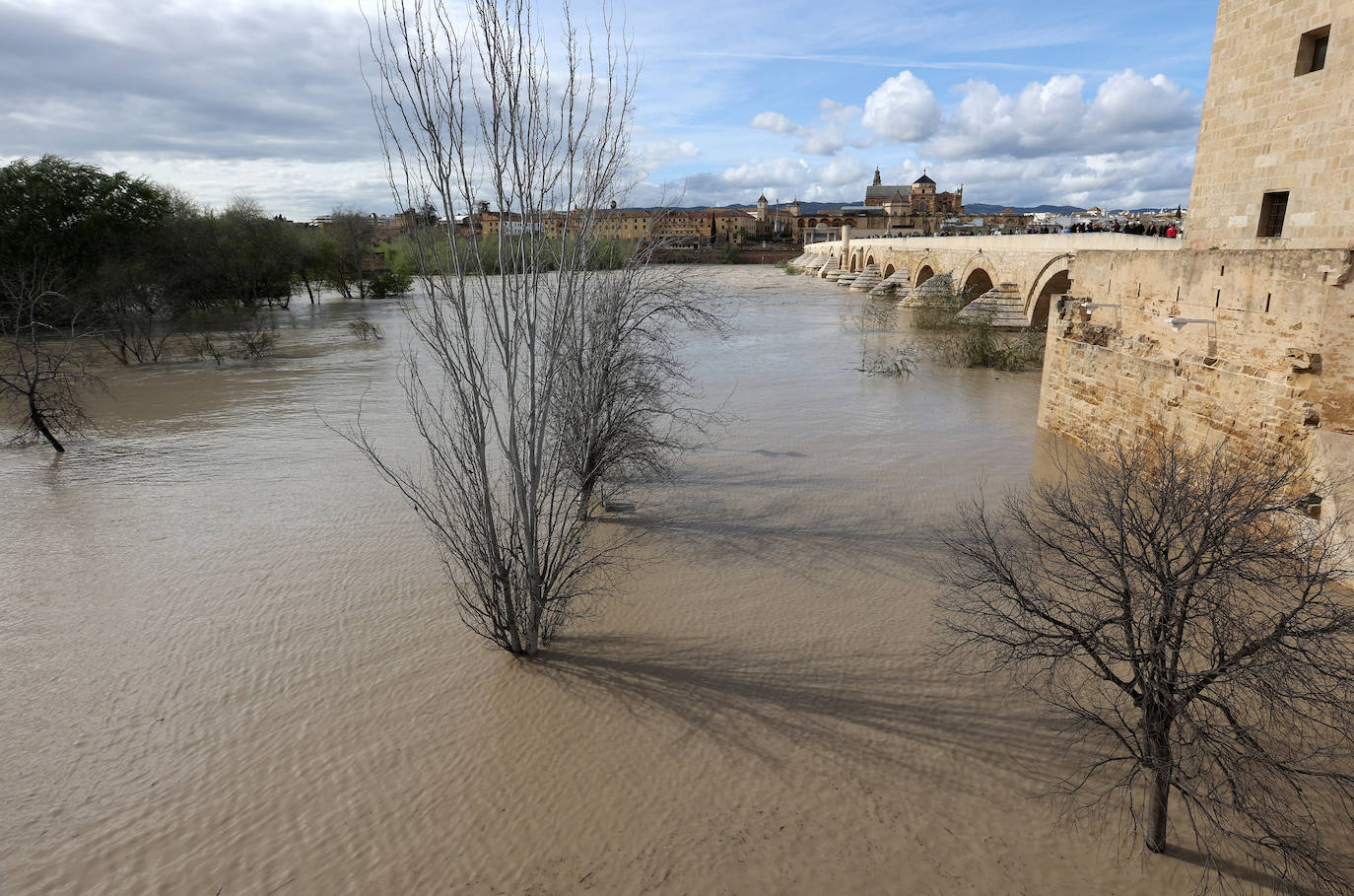 El impactante aspecto del río Guadalquivir a su paso por Córdoba
