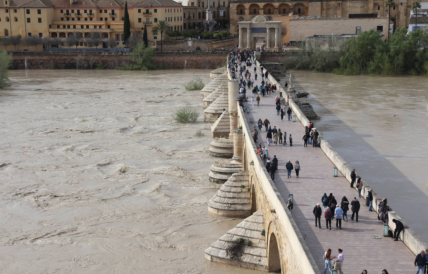 El impactante aspecto del río Guadalquivir a su paso por Córdoba