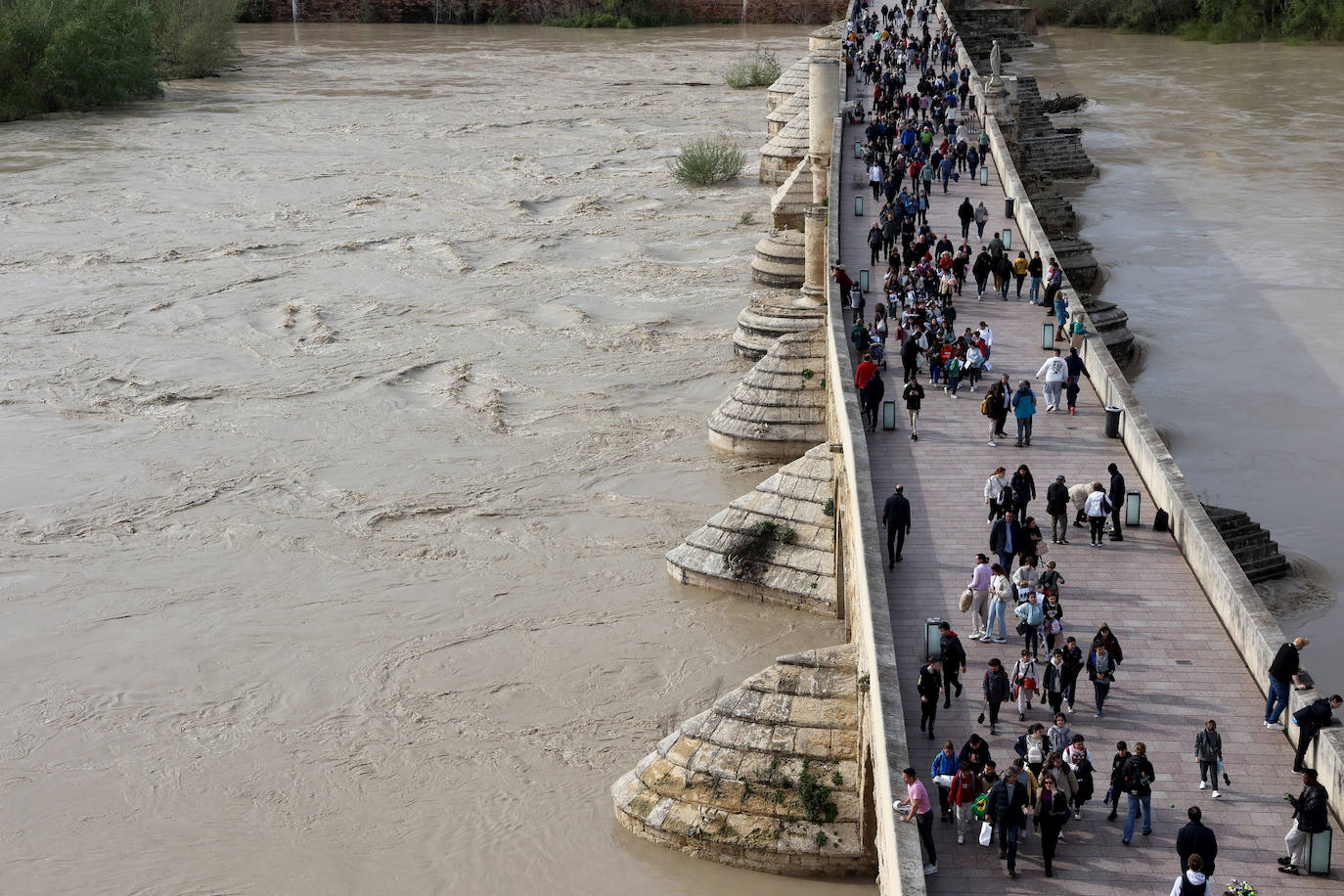El impactante aspecto del río Guadalquivir a su paso por Córdoba