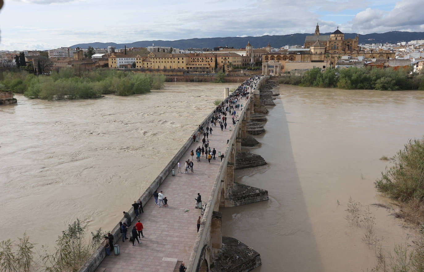El impactante aspecto del río Guadalquivir a su paso por Córdoba