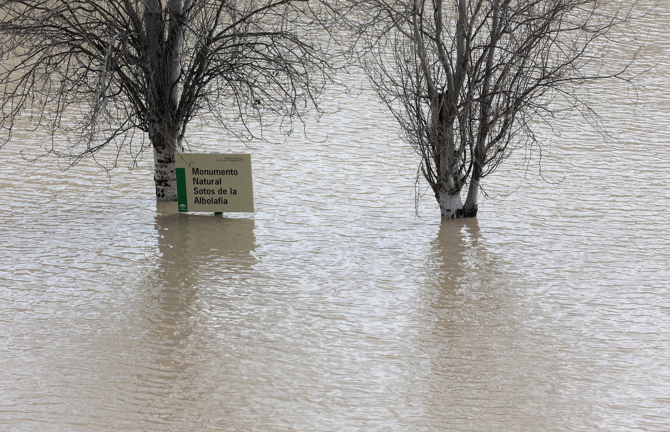 El impactante aspecto del río Guadalquivir a su paso por Córdoba