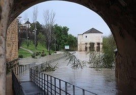 Crecida del Guadalquivir: así está el río a su paso por Córdoba y esto es lo que ha llovido