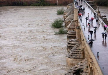 Los romanos ya lo predijeron y así construyeron el puente de Córdoba para evitar que se derrumbase con las riadas