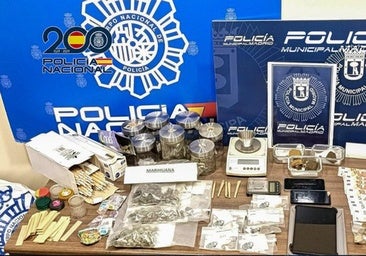 Medio kilo de droga, 1.300 euros y una especie marina exótica incautada en un local de San Blas