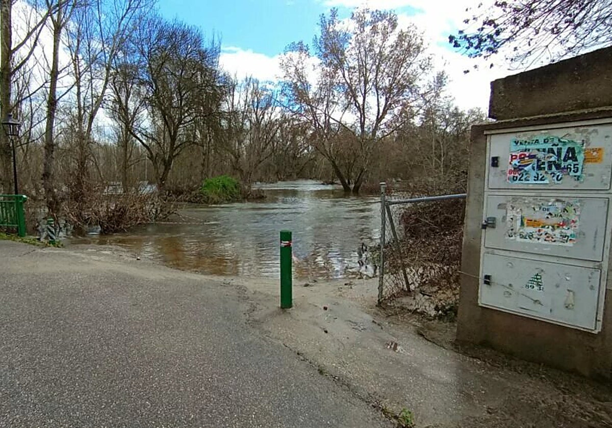 Imagen del río Alberche a su paso por Cardiel de los Montes, en la urbanización 'La Atalaya'