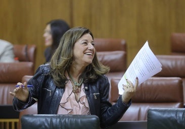 La consejera Carmen Castillo en el Parlamento